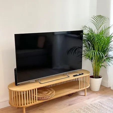 Lovely In The With Terrace Apartment